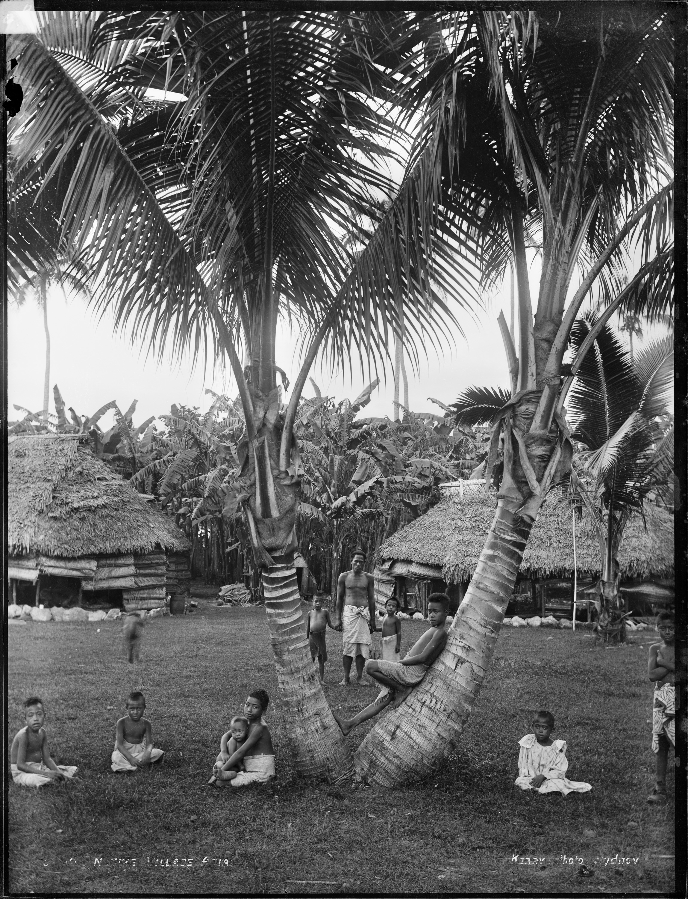 'Bush Scene, Apia' by Kerry and Co