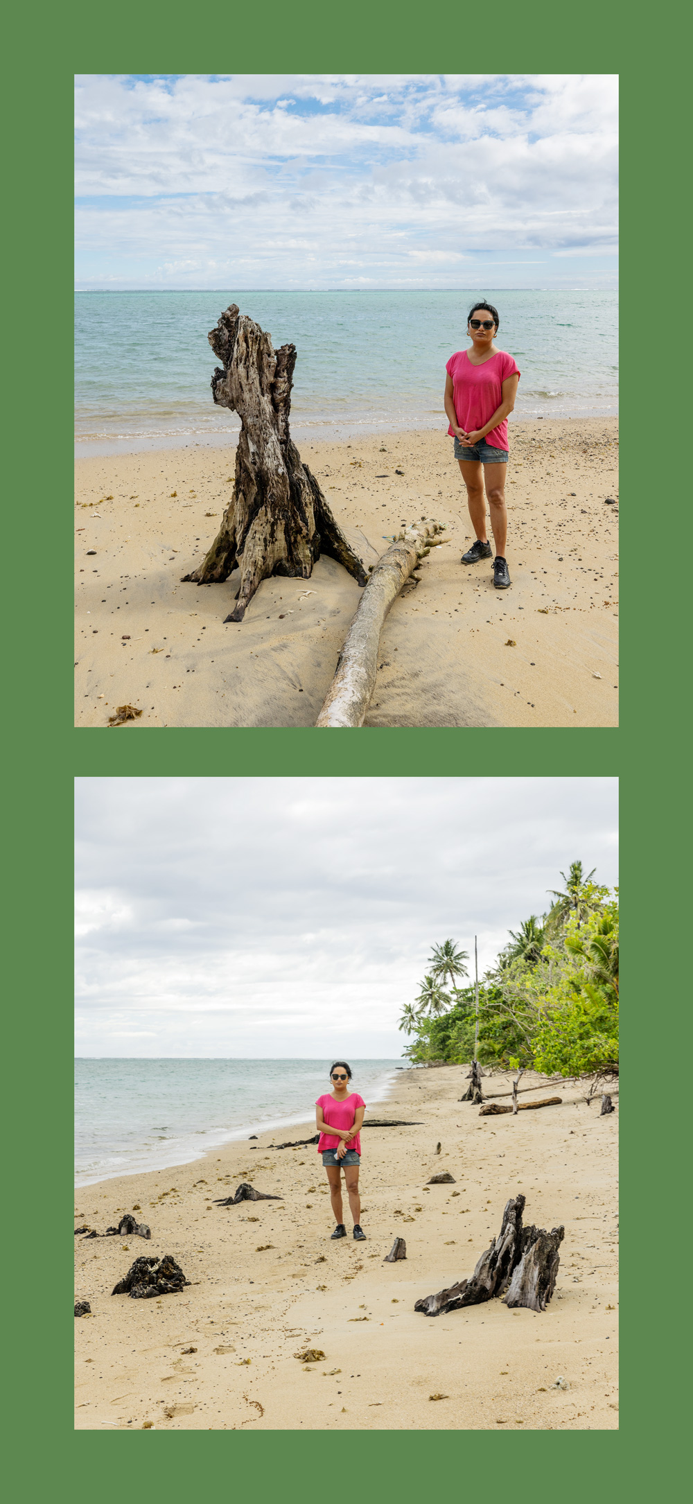 Ghost forest in Upolu Island, SÄmoa 